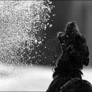 Jari im Schnee