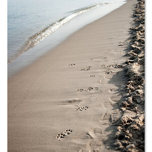 usedom3