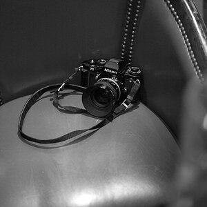 Nikon Treffen Usedom 2013 1037291