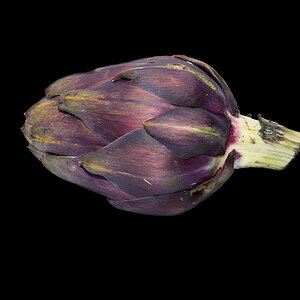 artichoke 1024