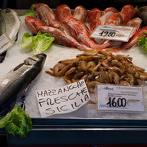 fish