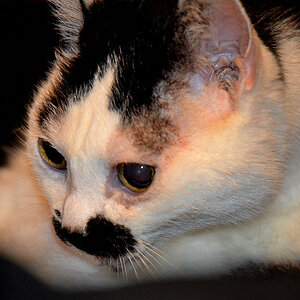 DSC 0026 Kopie