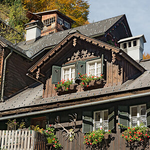 2131021 71K 0672 Häuser Hallstatt 1080
