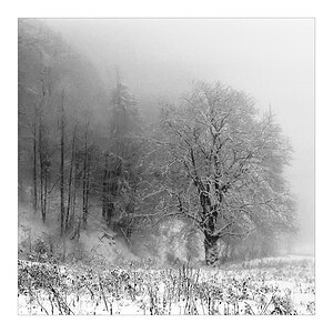 2007 Halde b&w square 003