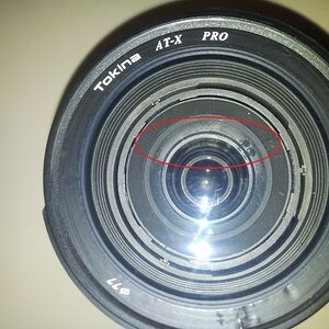 Tokina 16-50 2.8 DX Pilzbefall?