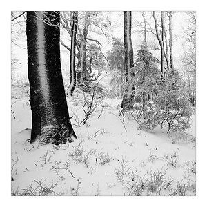 2007 Halde b&w square 006