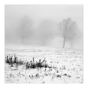 2007 Halde b&w square 009