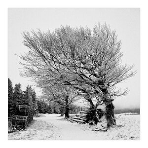 2007 Halde b&w square 012