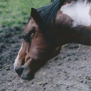 Winnetou
