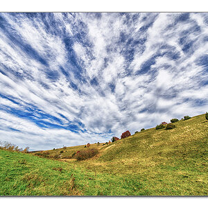 Heide1