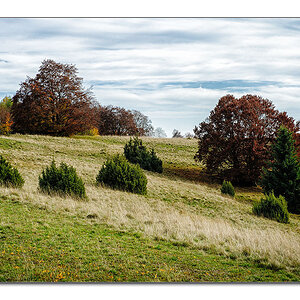 Heide2