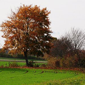DSC 0494