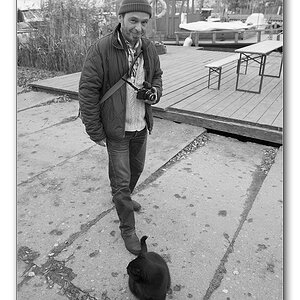 männer die katzen quälen