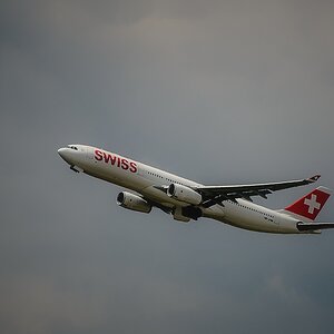 DSC4349