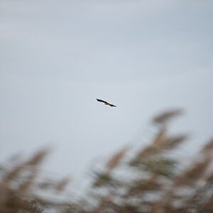 200mm