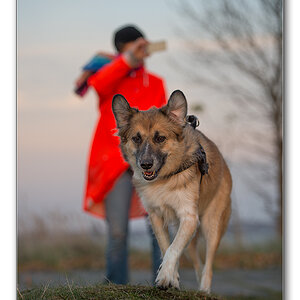 frau und hund