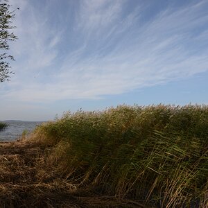 D83 1778 web1024