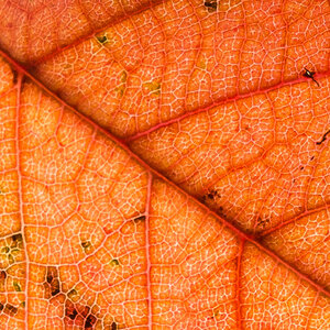 20131025  DSC4164