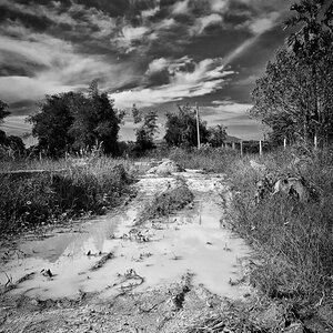 afterrain 1