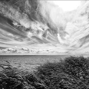 comp DSC 4774   SW