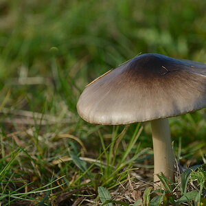 DSC 5416