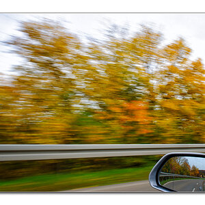 Herbst1