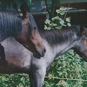 Mama und sohn