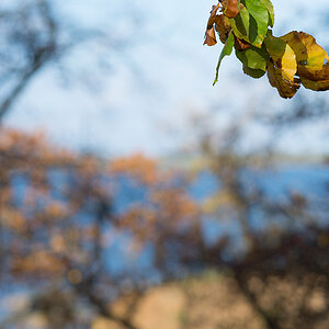 herbst3