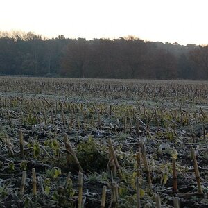 ohne text 073