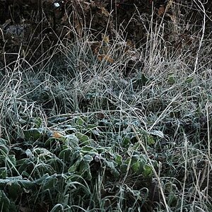 ohne text 069