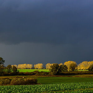 Regenwetter 1