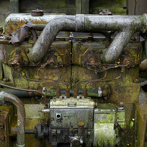 Nikon Treffen Usedom 2013 1037311