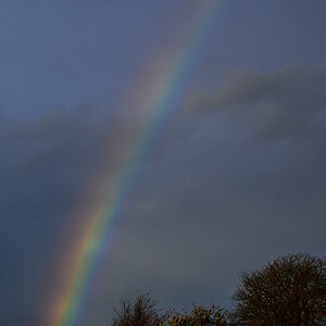 Regenbogen