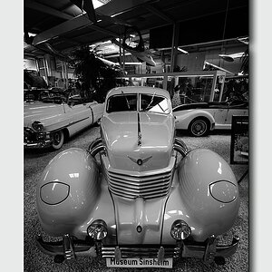 sinsheim DSC 32381