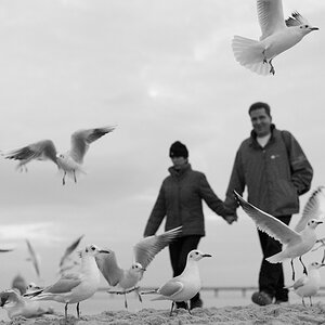 Nikon Treffen Usedom 2013 1037132