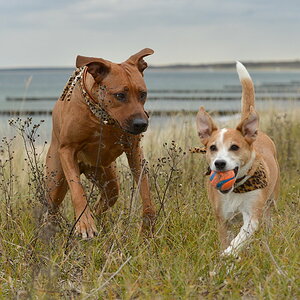 DSC 5584 27 10 13