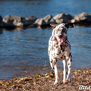 20131028 1714 Baden an der HuWi