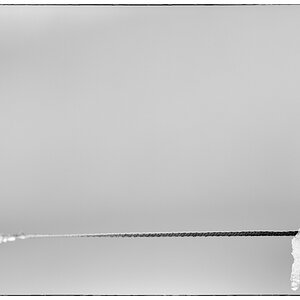 Schnee PZ14854