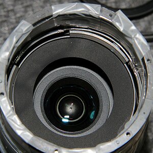 DSC 8216