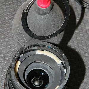 DSC 8217