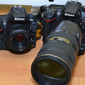 D7000 vs. D800