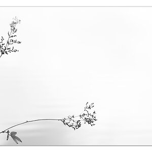 minimalistisch