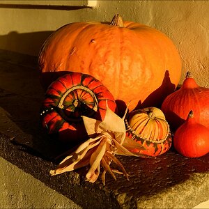 aacomp usedom 20131101 0336 01