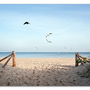usedom9