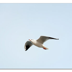 usedom10