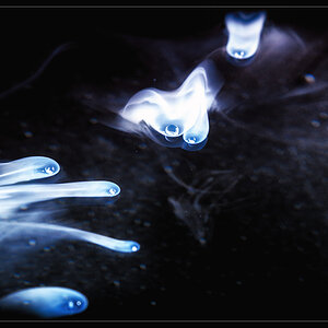 Universum1