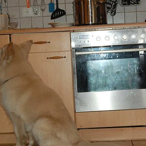 Ich warte...