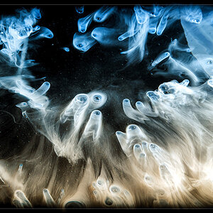 Universum5