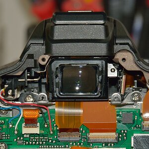DSC 8118