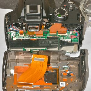 DSC 8117